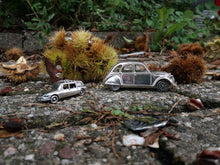 Laden Sie das Bild in den Galerie-Viewer, Citroën 2cv 1:43 and DS break 1:87 miniature silver