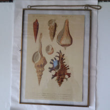 Cargar imagen en el visor de la galería, Glass and brass frame for posters